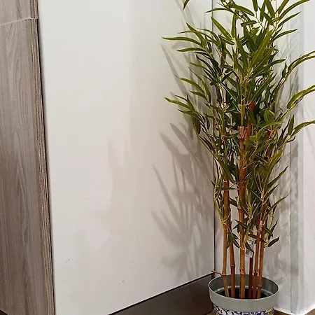 Apartment Trieste